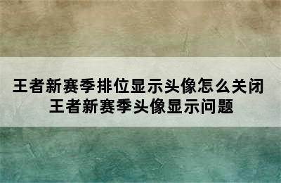 王者新赛季排位显示头像怎么关闭 王者新赛季头像显示问题